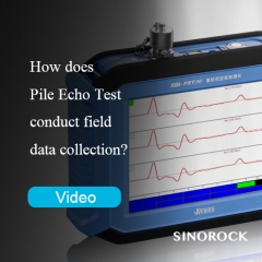 How does Pile Echo Test conduct field data collection?