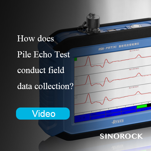 How does Pile Echo Test conduct field data collection?